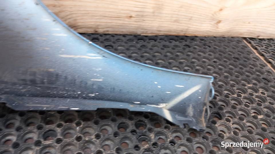 RENAULT SCENIC III LIFT BŁOTNIK PRZÓD LEWY TERBP Zbierkowo