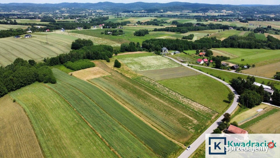 sprzedaży działki 2852m2 Chrząstówka rolna podkarpackie sprzedam