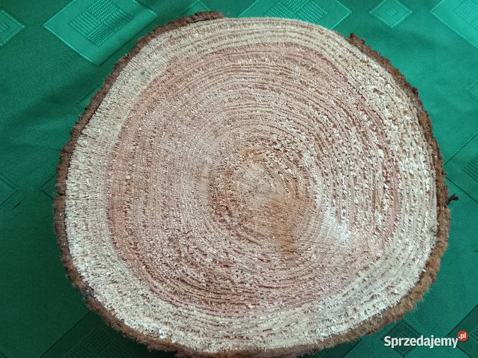 Duży krążek z naturalnego drewna Łódź