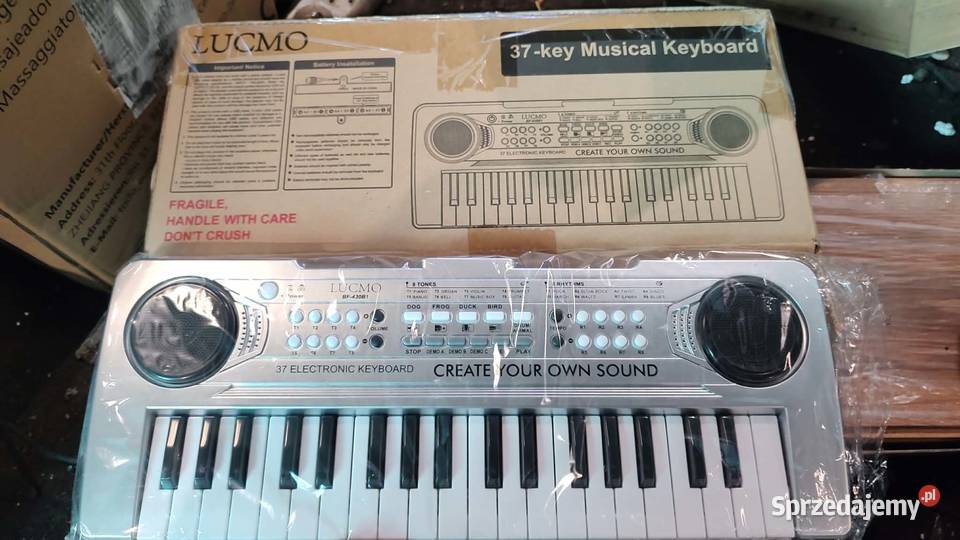 dziecięcy keyboard zabawkę muzyczną Lucmo Książ Wielkopolski
