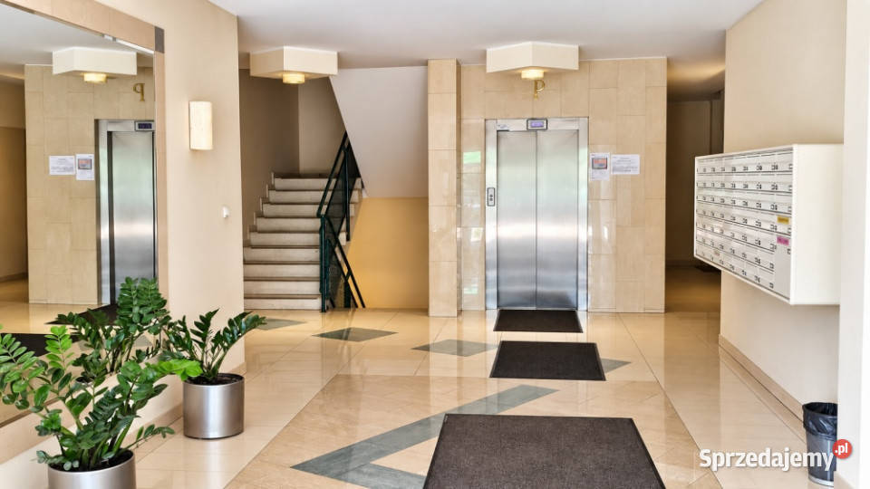 3 pokoje parku Kępa Potocka 77m Żoliborz Wynajem Warszawa
