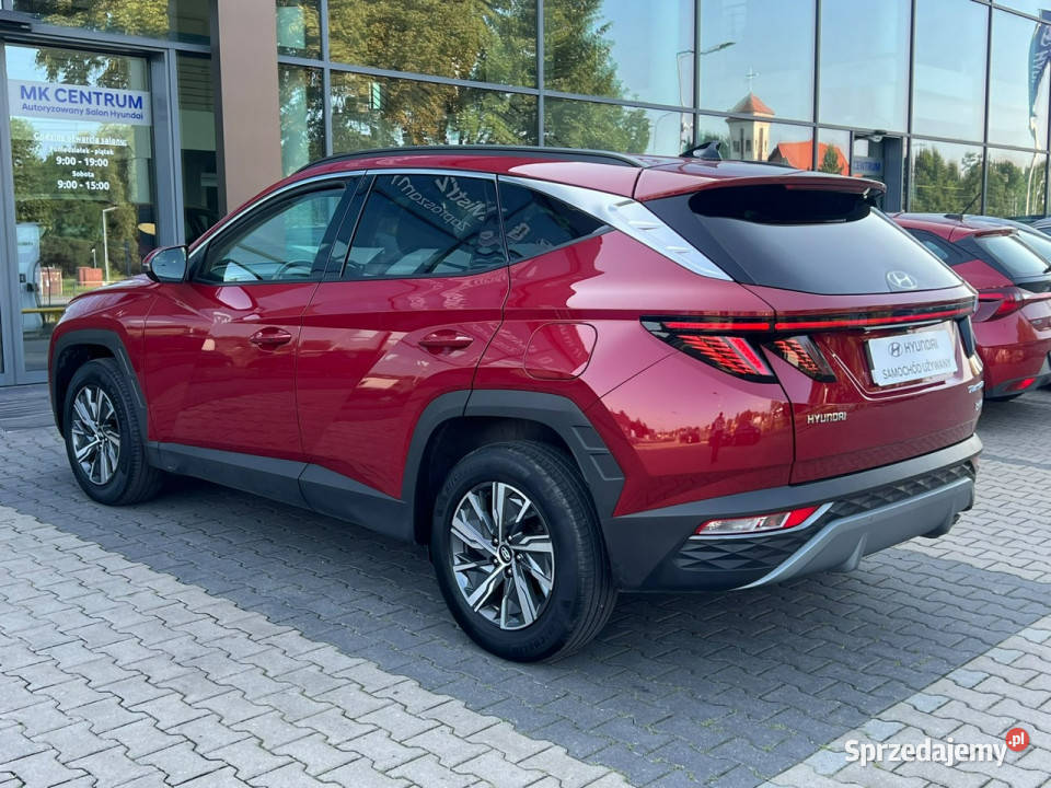 Hyundai Tucson 16TGDI HEV 4WD 230 AT Executive Piotrków Trybunalski