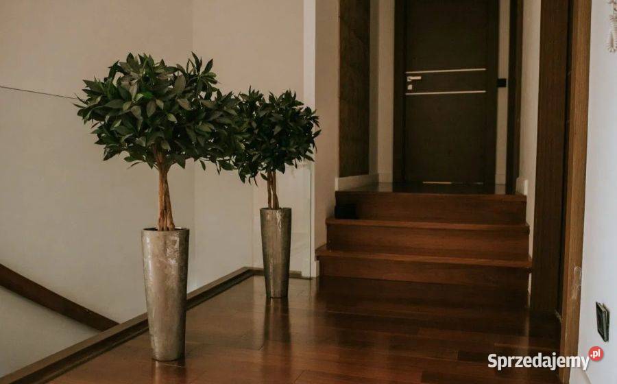 OLEŚNICA I PIĘTRO BALKON PIWNICA KLIMATYZACJA Oleśnica