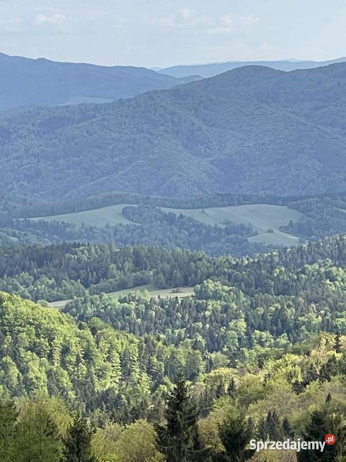 Dom 230 m2 apartamenty x 3 uzdrowisko cisza Piwniczna-Zdrój sprzedam