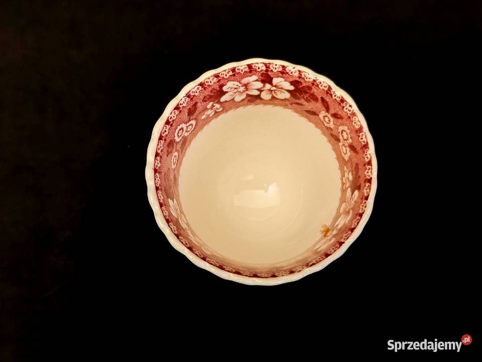 Jajecznik angielski Copeland Spodes Tower Chełm