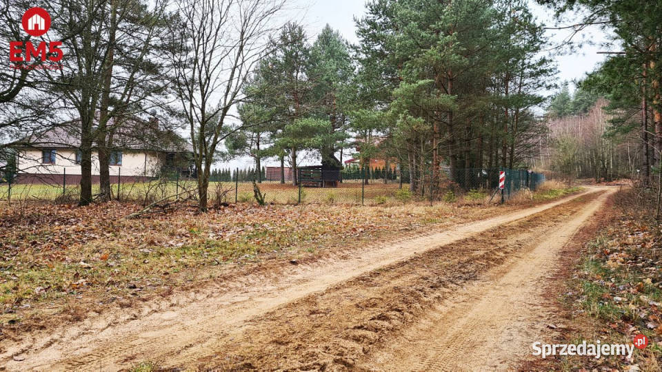 Działka Harsz 2366m2 1911m2 Sprzedaż sprzedam