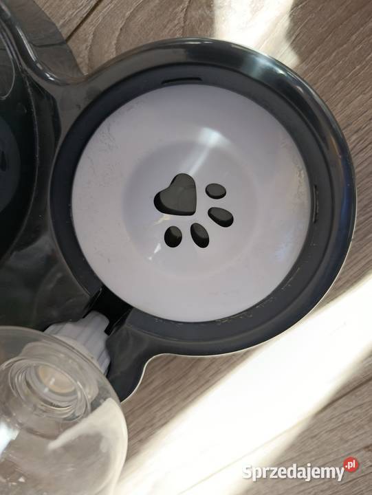 miska miski zwierząt kot pies z dozownik do wody Dla kotów wielkopolskie Poznań