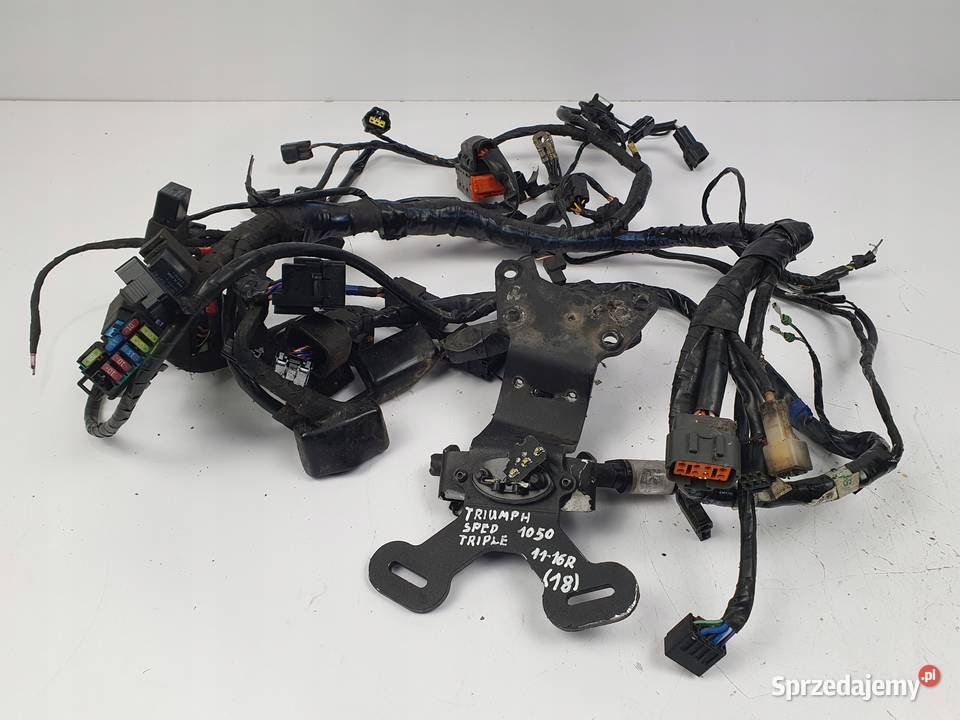 WIĄZKA ELEKTRYCZNA SILNIKA Triumph Speed Triple Wiązki elektryczne lubelskie Chełm