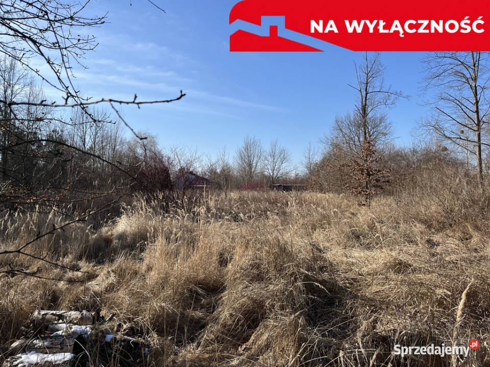 Działka budowlana 4587 m2 we Wsoli koło Radomia asfalt Sprzedaż mazowieckie Wsola