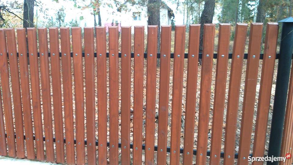SZTACHETY OLCHOWE 10 WZORÓW Olszewka