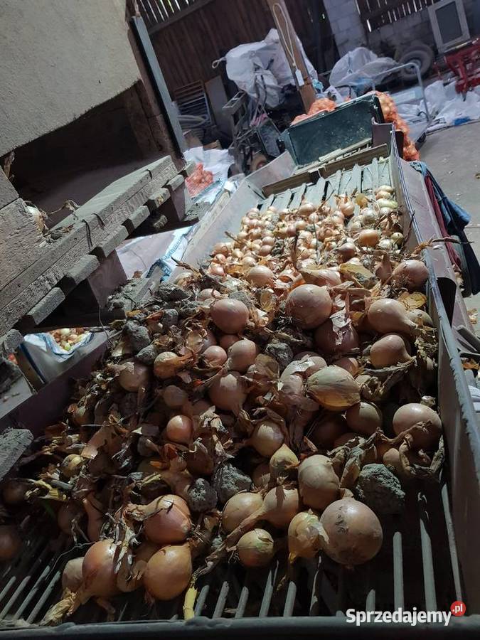 Obcinaczka do cebuli 8 wałkowa nieuszkodzony Piestrzec