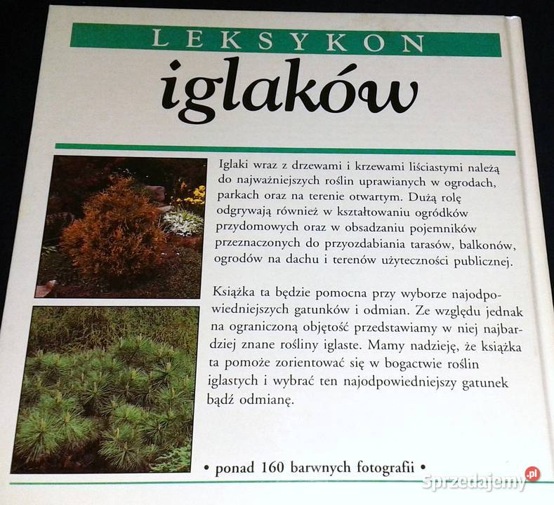 Leksykon iglaków Pavol Vrestiak Zdenek Osvald Rok wydania 2001 lubelskie Chełm