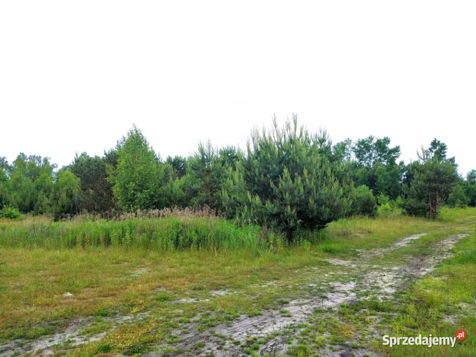 Działka budowlana NAROŻNA 1200 m2 Góra Kalwaria Sprzedaż Krzaki Czaplinkowskie