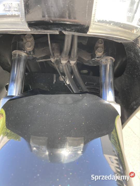 S Wing lubelskie Porosiuki