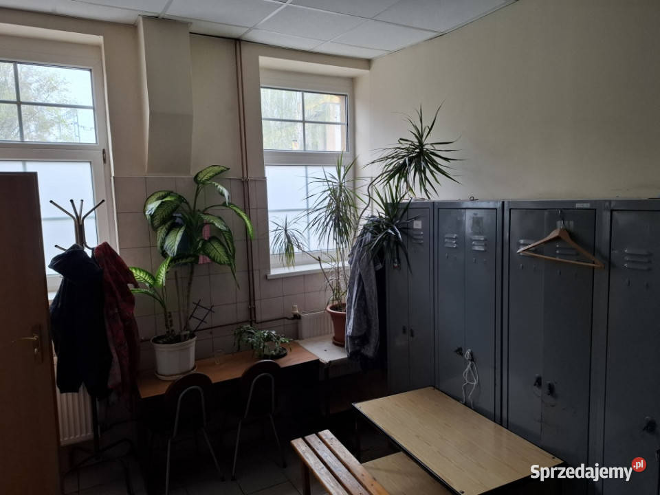 Hala produkcyjna pomieszczenia usługowe Wrocław