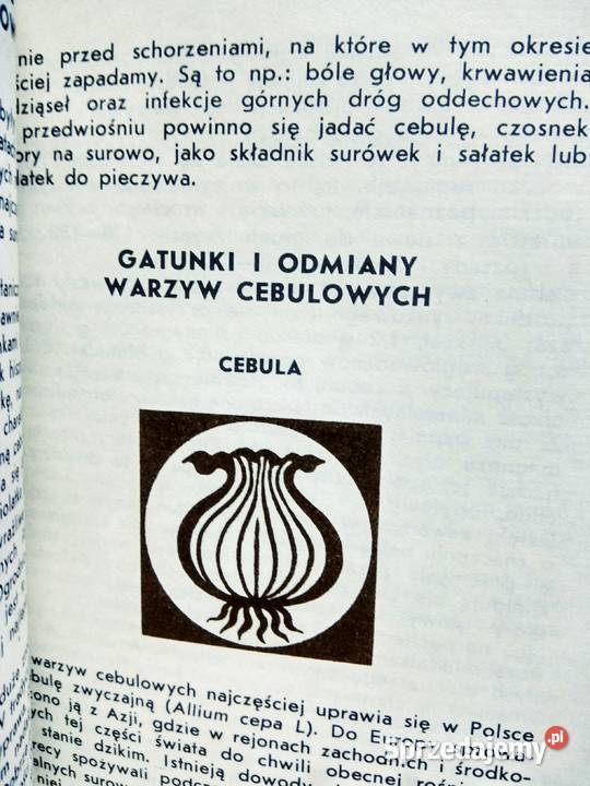 Warszawa cebulowe antykwariat szkolny outlet mazowieckie
