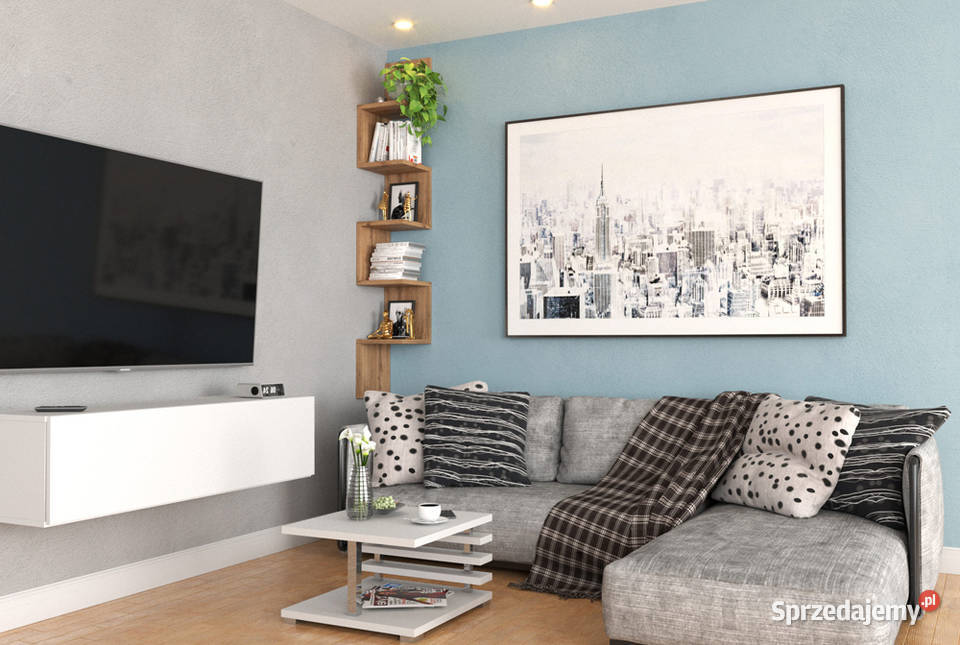 Regał Wiszący Na Książki Do Salonu Zigi 22.2cm Elbląg