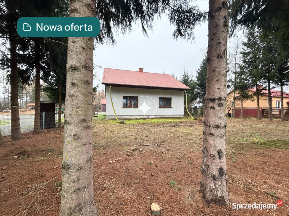 Unikatowa posiadłość z prywatnym lasem Przewale