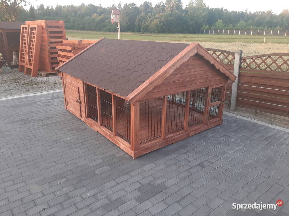 Buda psa Kojec Jordanów