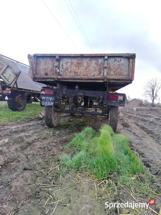 przyczepa wywrotka d35 Szubin