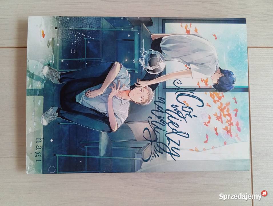 Mangi BL różne opis Komiksy Wrocław sprzedam