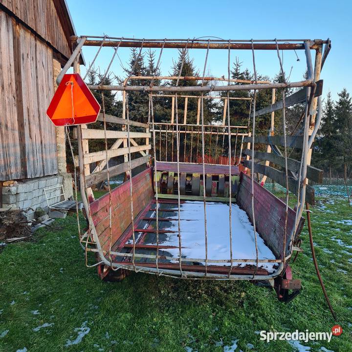 Samozbierająca Trzciana