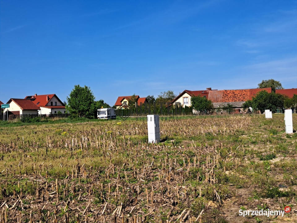 Działki w Jagoszycach niedaleko Prusic budowlana dolnośląskie Jagoszyce