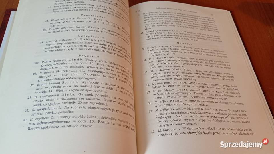 Roślinność Dziewiczej Góry pod Poznaniem Halina Gdańsk