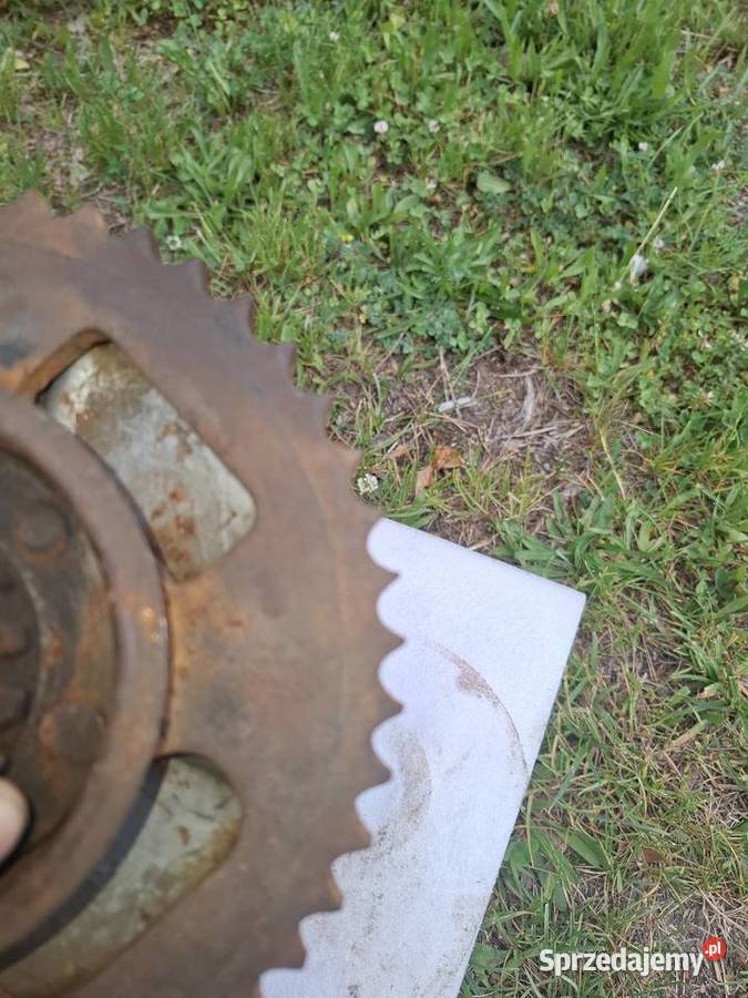 Jawa 175 zabieraki tylnego koła 100 Zębatki napędowe Włoszczowa