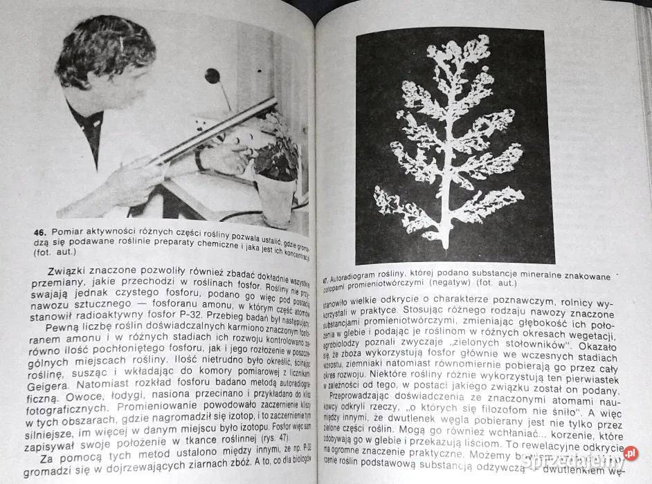 Wszechwiedzące izotopy Zdzisław Kazimierczuk Chełm sprzedam