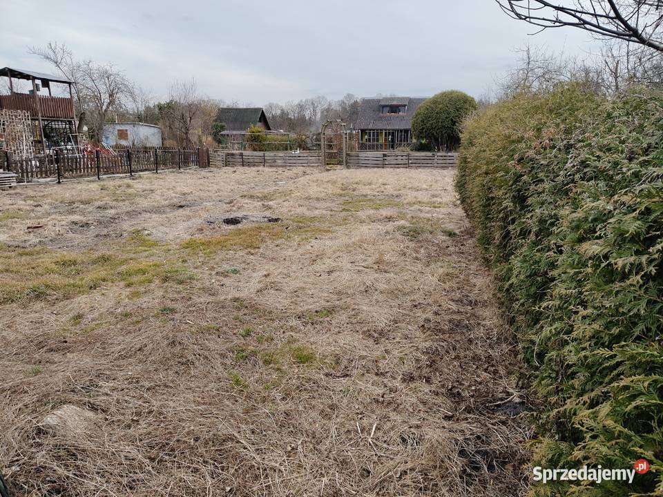 Działka ROD Parkiem w Pile Piła