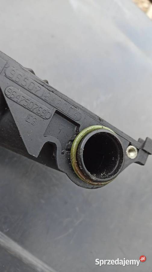 Odma separator oleju Fiesta MK6 MK7 14 TDCI podkarpackie Dębica sprzedam