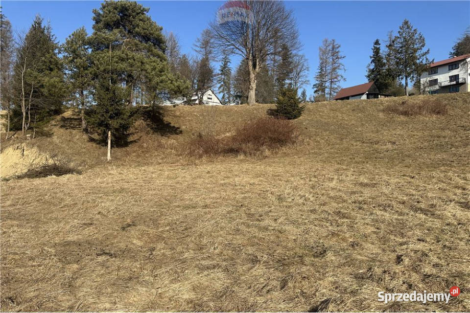 Działka widokowa w górach Sól Kiczora Rachowiec