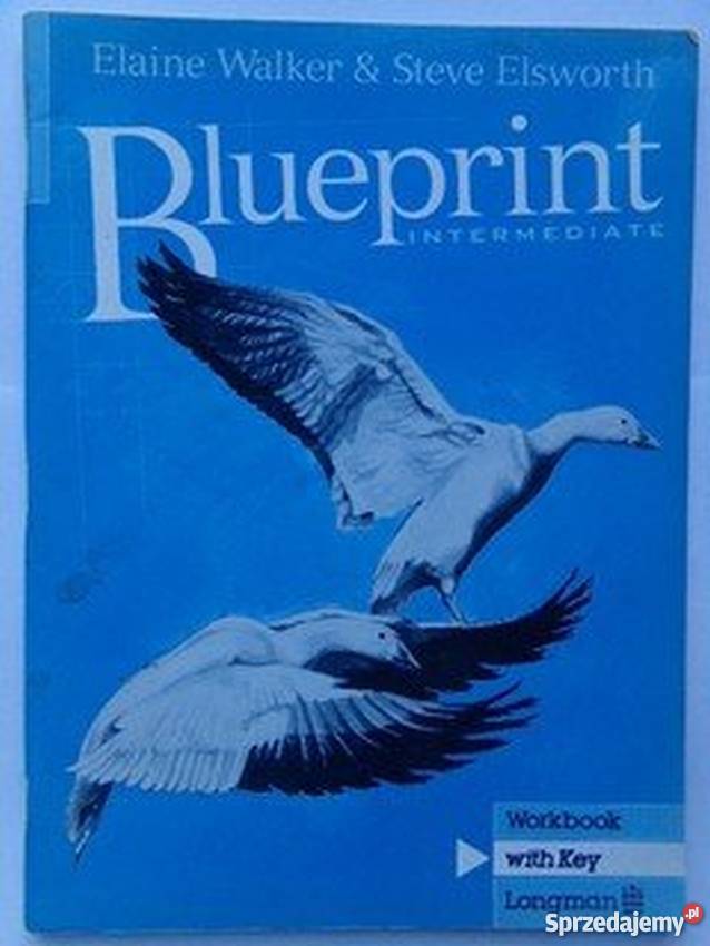 BLUEPRINT INTERMEDIATE EWALKER SELSWORTH Elbląg sprzedam