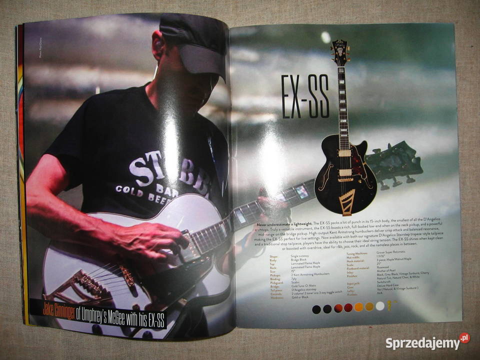 DAngelico 2016 katalog gitar Kępice