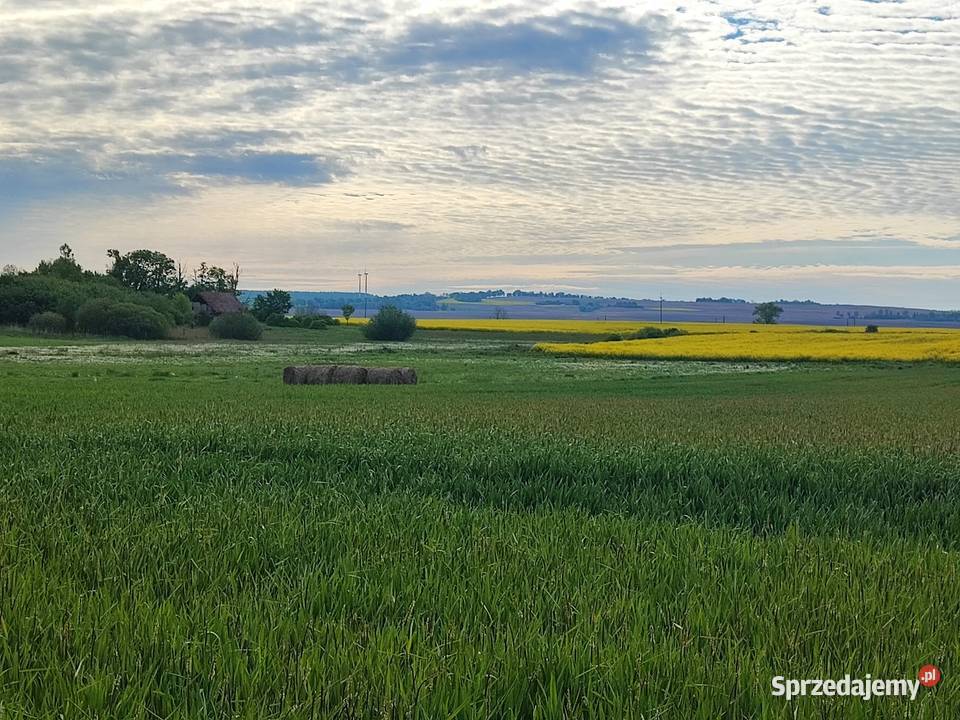 Siedlisko niedaleko BISZTYNKA 5500 m2 TANIO warmińsko-mazurskie Grzęda