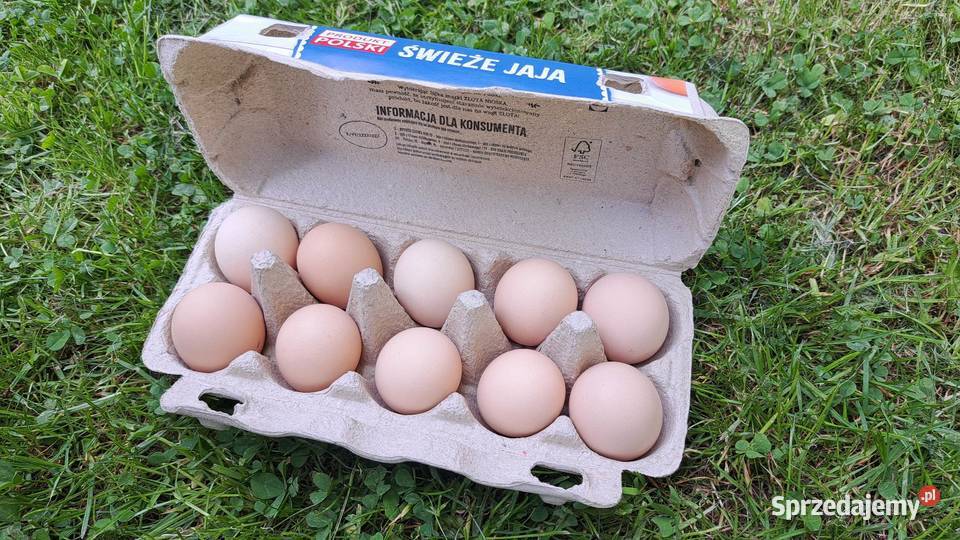 Jajka wiejskie wolny wybieg Rakowice Małe