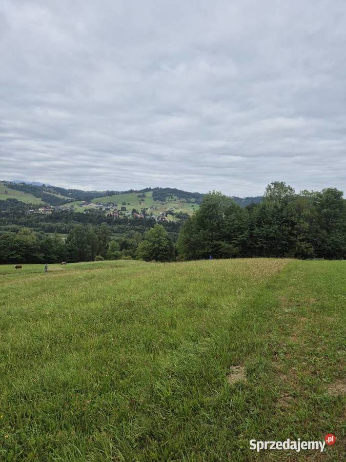 Sprzedam 2700m2