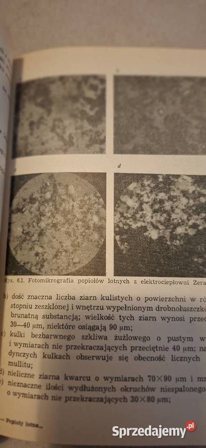 Pierwsze wydanie Popioły lotne i ich Łęczyca