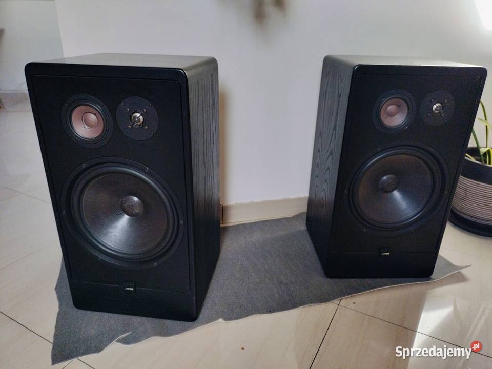 Canton CT1000 Rurzyca