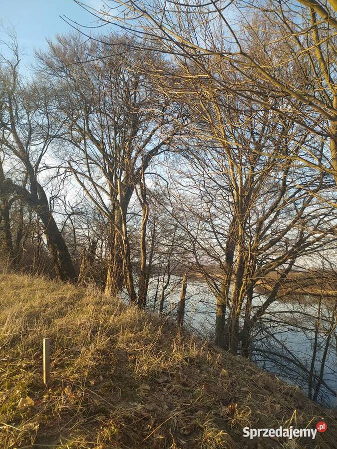Działka jeziorem w powiecie rypińskim z linią 160zł/m2 Grunty i działki sprzedam