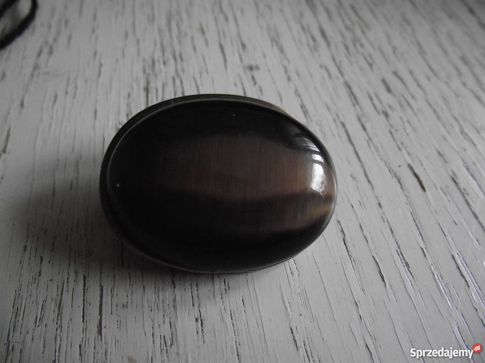 ANTYCZNA BROSZA Z OKAZAŁYM TYGRYSIM OKIEM Piła