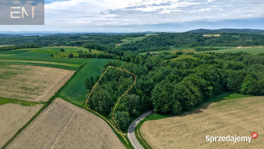 sprzedaży gruntu 4600m2 Szufnarowa