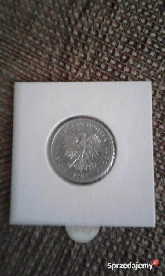 50 Groszy 1986 rokoło mennicza TYP B Numizmatyka Konin