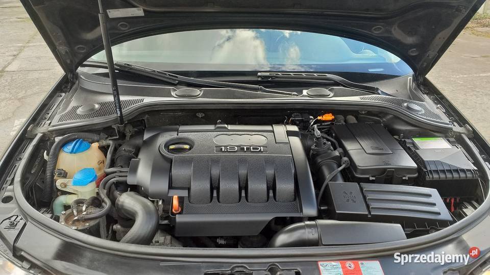 Audi A3 19 TDI Żychlin