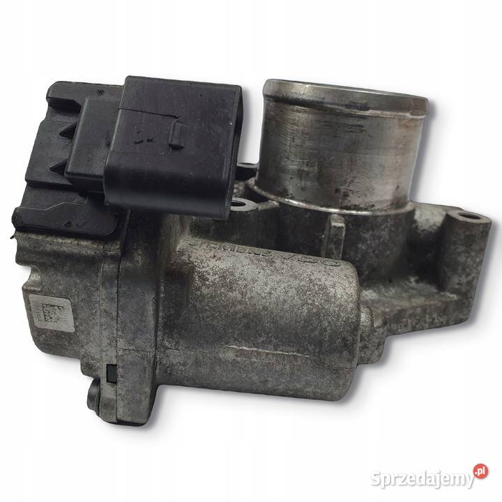 PRZEPUSTNICA Renault Laguna Scenic 19 DCl osobowe lubelskie