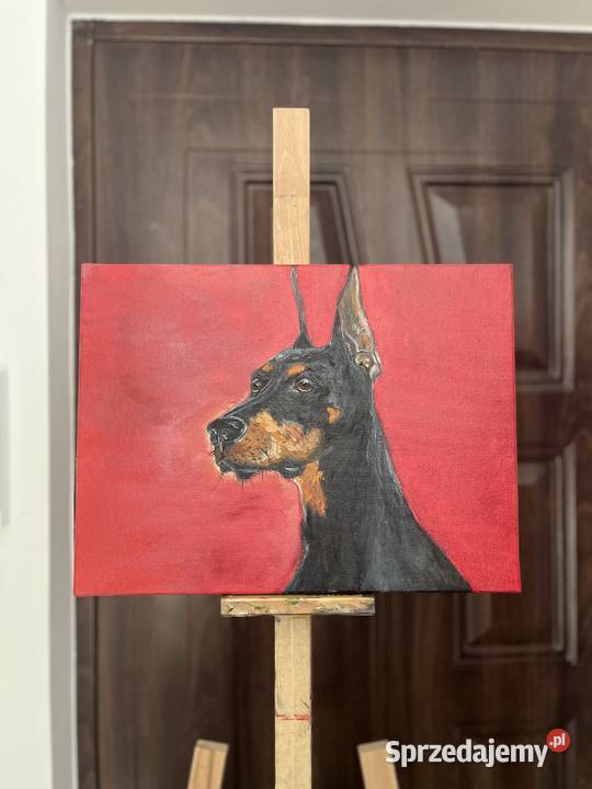 Obraz olejny Doberman 30x40 ręcznie malowany Świebodzin