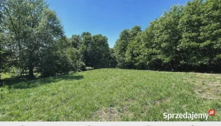 Działka budowlanolesna