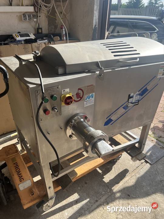 Wilk mieszałka Bytom