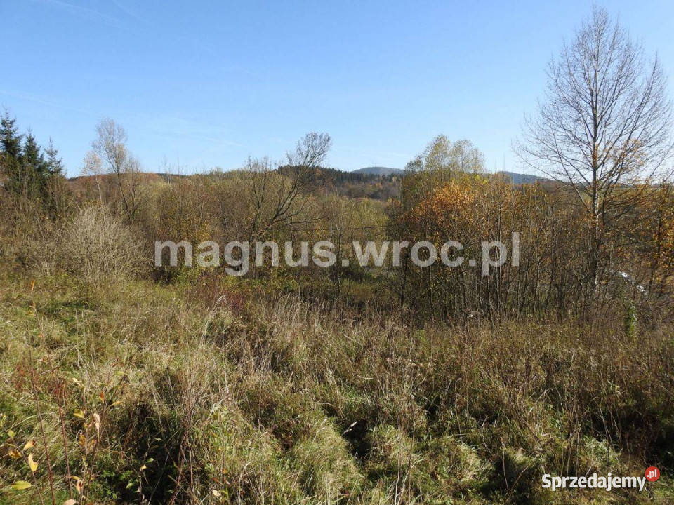 Na sprzedaż działka rolna bez Mpzp w górskim 3000m2 dolnośląskie Jabłów